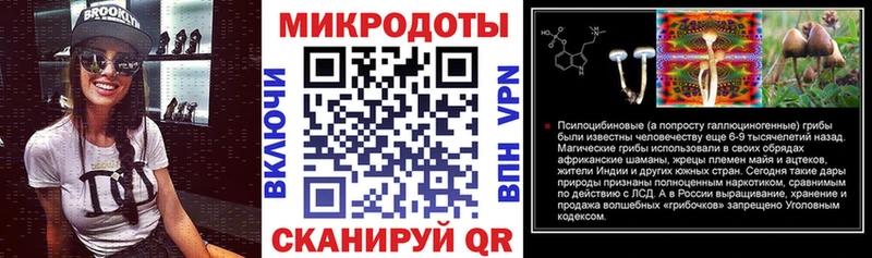 купить   Лебедянь  Галлюциногенные грибы Psilocybe 